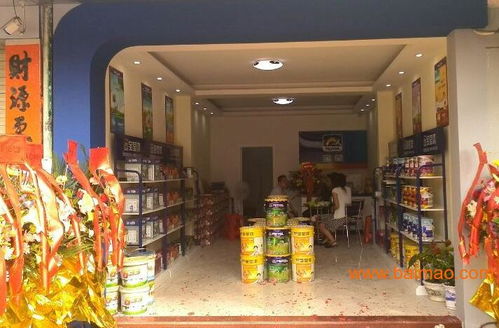 油漆十大品牌盤點與代理商招募指南——以寶瑩漆為例